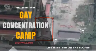 Unveiling the Horrors: Life Inside Gay Concentration Camps