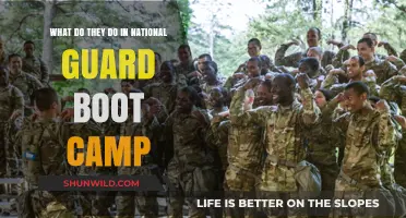 National Guard Boot Camp: Training, Challenges, and Daily Life Explained