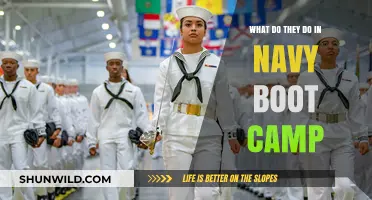Navy Boot Camp Unveiled: Training, Challenges, and Transformation Explained