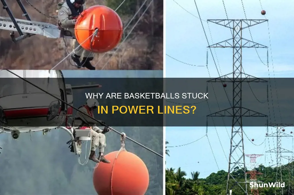 what do they have basketballs in power lines