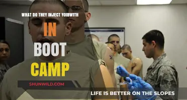 Boot Camp Injections: What Substances Are Used and Why?