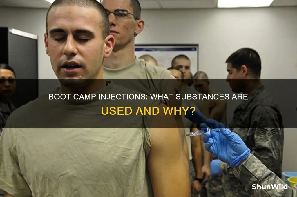 what do they inject yoibwith in boot camp