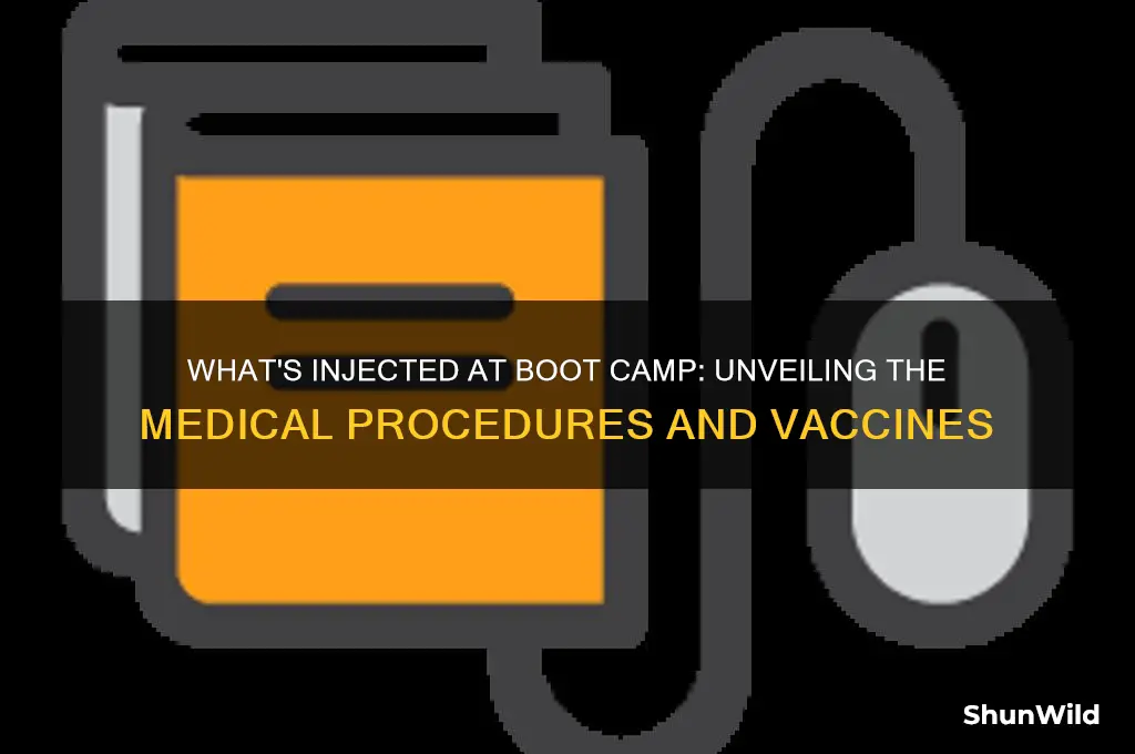 what do they inject you with in boot camp