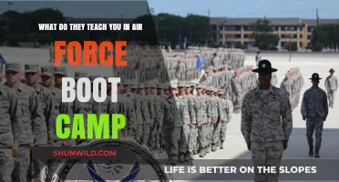 Air Force Boot Camp: Unveiling the Rigorous Training and Life Lessons