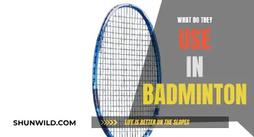 Badminton Essentials: Gear and Equipment