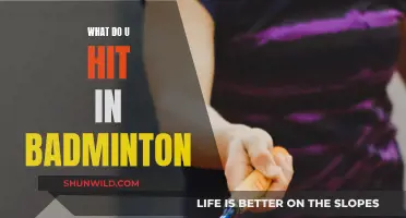 Smashing Strategies: Hitting Techniques in Badminton