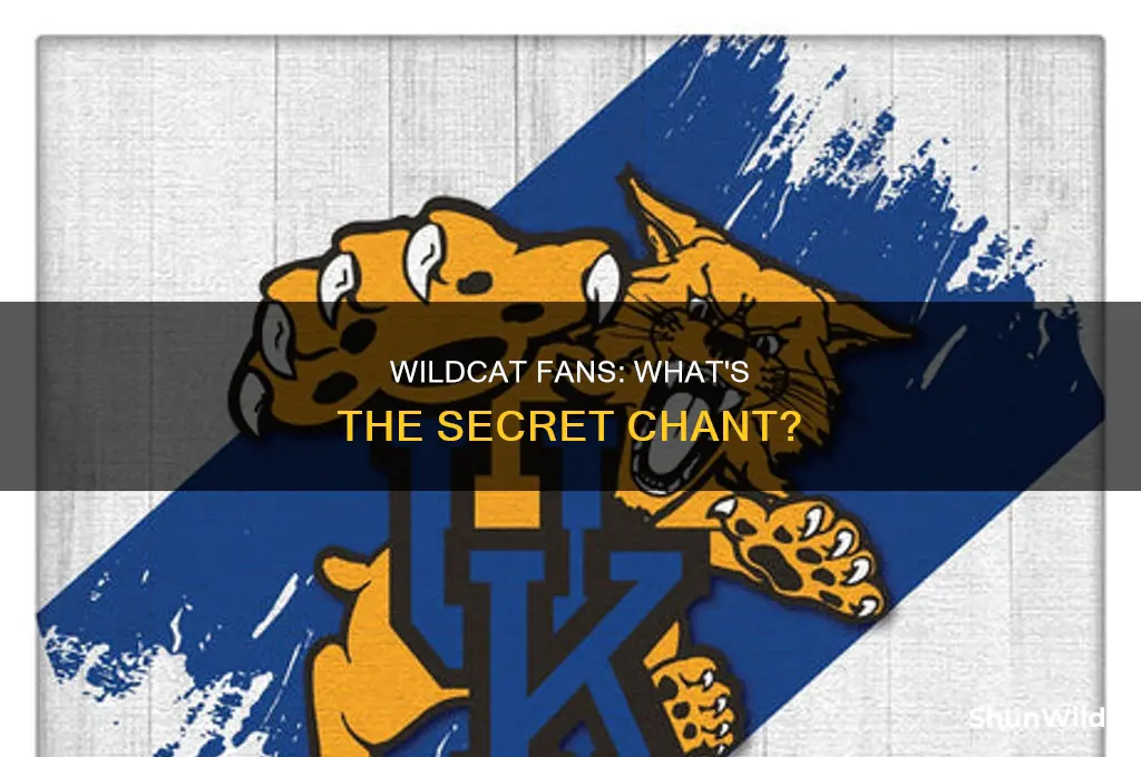 what do u of k basketball fans shout