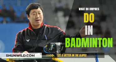 Umpires: Ensuring Fair Badminton Play