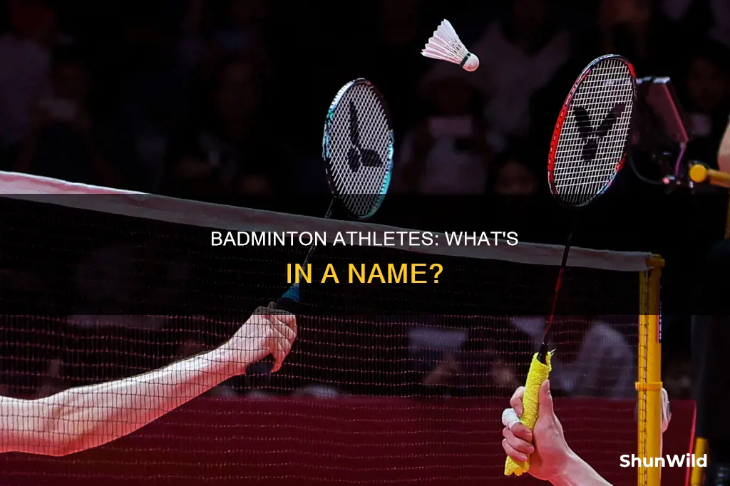 what do we call a badminton player