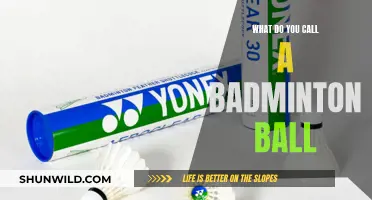 Badminton Shuttlecock: What's in a Name?