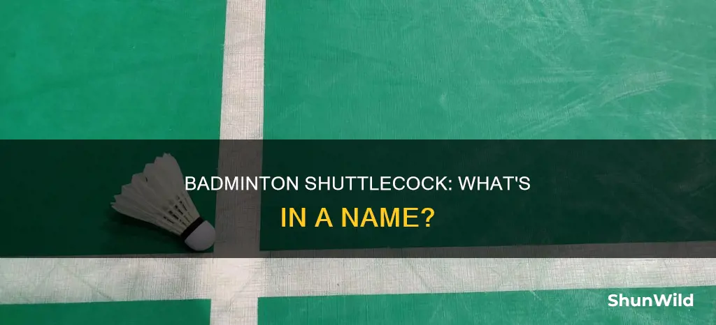what do you call a badminton ball