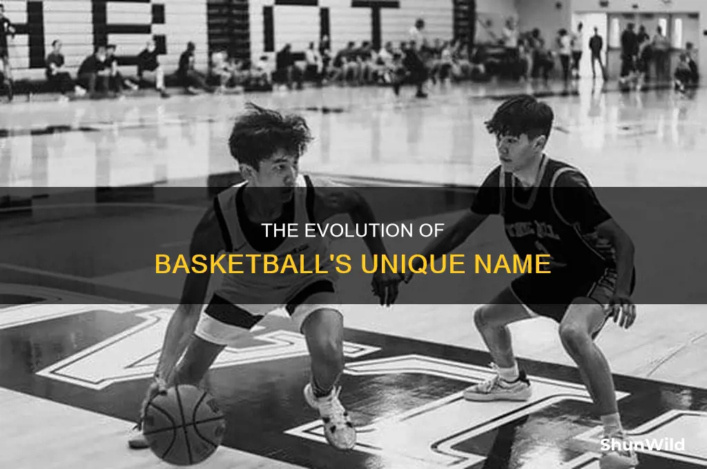 what do you call a basketball ball