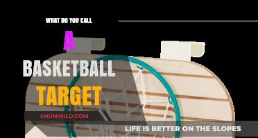 The Art of Basketball: Hoop Dreams