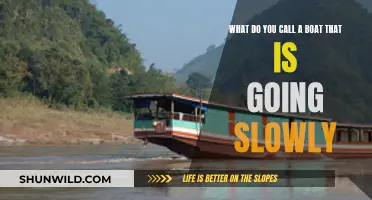 The Slow-Moving Vessel: What's in a Name?