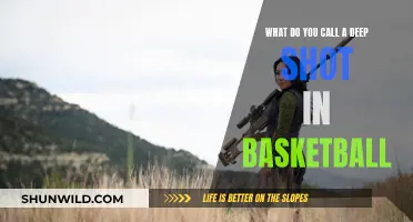 The Deep Shot: Basketball's Long-Range Art