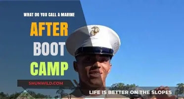 From Recruit to Marine: Understanding Post-Boot Camp Titles and Traditions