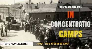 Understanding the Terminology: Referring to Jews in Concentration Camps