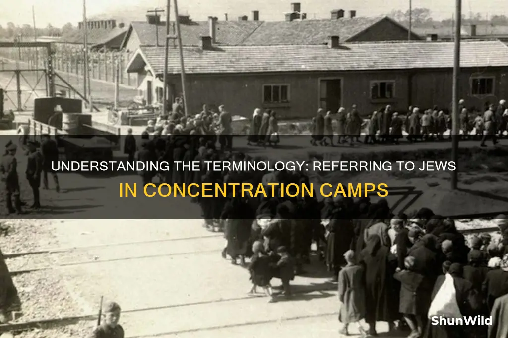 what do you call jews in concentration camps