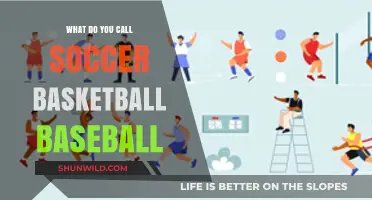 Sports Naming Conventions: Soccer, Basketball, Baseball