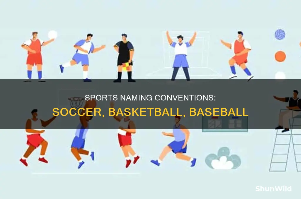 what do you call soccer basketball baseball