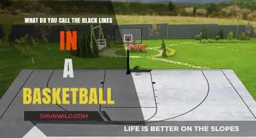 The Intriguing Black Lines of a Basketball Court