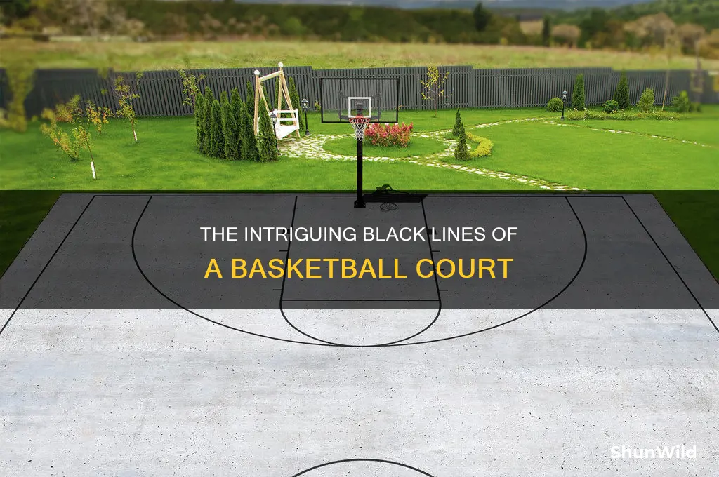 what do you call the black lines in a basketball