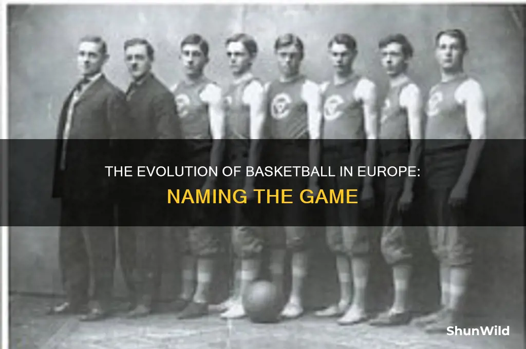 what do you call the european basketball