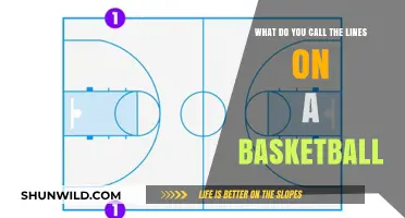 The Intriguing Lines on a Basketball and Their Names