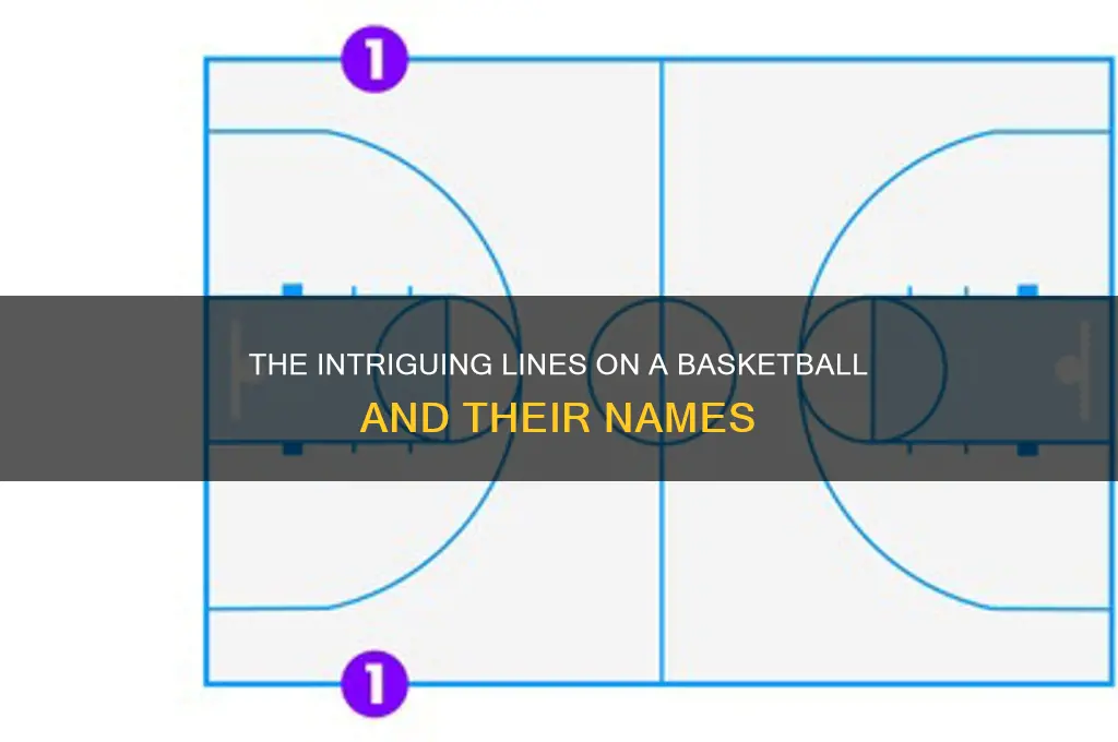 what do you call the lines on a basketball