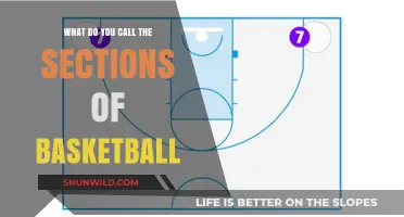 The Anatomy of a Basketball Court: Sections Explained