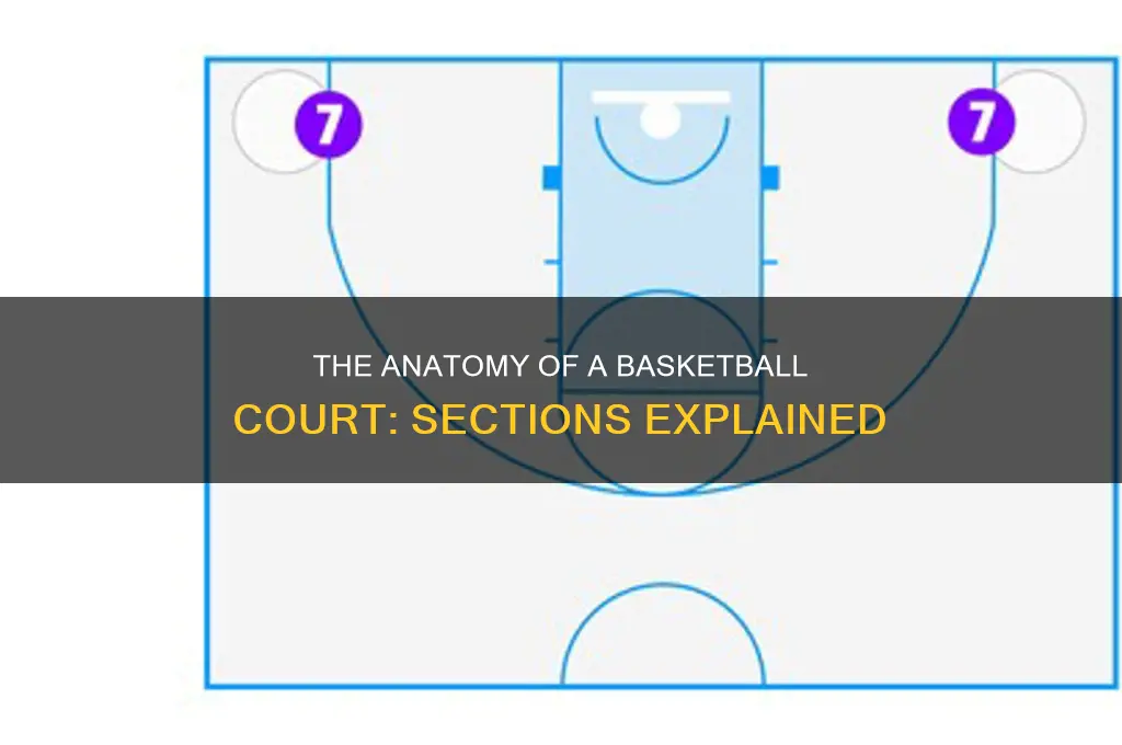 what do you call the sections of basketball