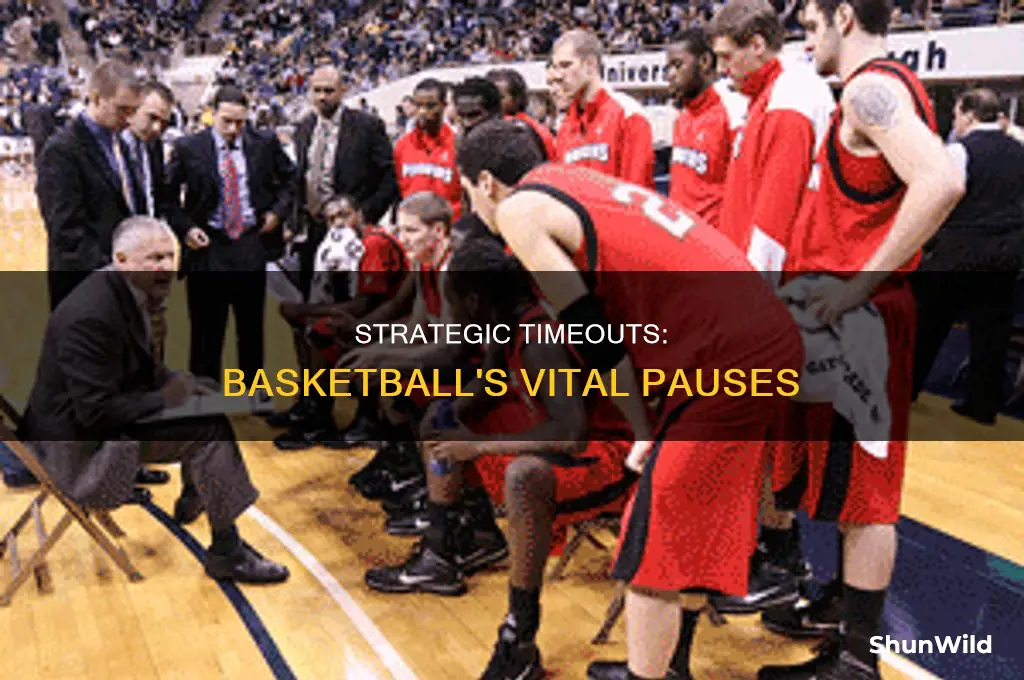 what do you call timeouts in basketball