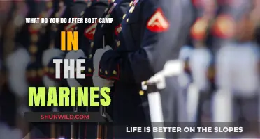 Life After Marine Boot Camp: Next Steps and Career Paths