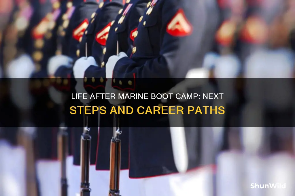 what do you do after boot camp in the marines