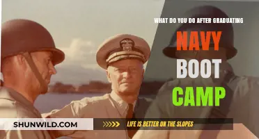 Life After Navy Boot Camp: Navigating Your Next Steps and Career Path