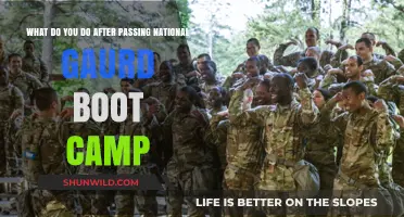 Life After National Guard Boot Camp: Next Steps and Opportunities
