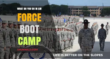 Air Force Boot Camp: Training, Challenges, and Daily Life Explained