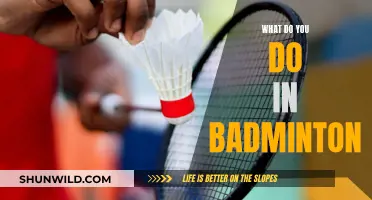 Badminton Basics: Strategies, Strokes, and Footwork