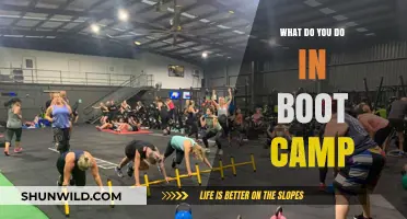 Unveiling Boot Camp: Intense Training, Discipline, and Transformation Explained