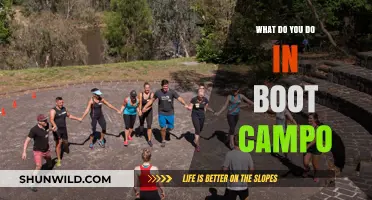 Unleash Your Potential: A Deep Dive into Boot Camp Activities