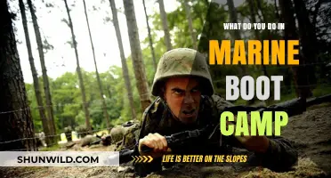 Marine Boot Camp Unveiled: Rigorous Training, Discipline, and Transformation Explained