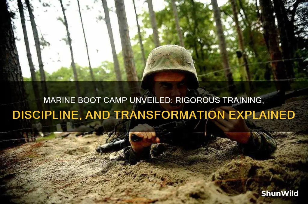 what do you do in marine boot camp