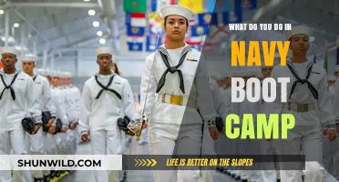 Navy Boot Camp: Training, Challenges, and Life-Changing Experiences Explained