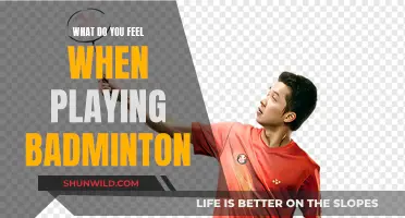 Badminton Bliss: A Rush of Exhilaration and Fun