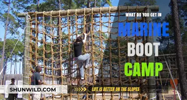 Marine Boot Camp Essentials: Training, Gear, and What to Expect