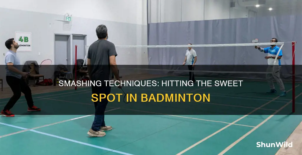 what do you hit in badminton