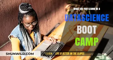 Mastering Data Science: Key Skills and Insights from Boot Camps