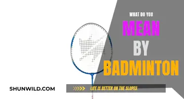 Badminton Basics: Rules, Equipment, and Gameplay