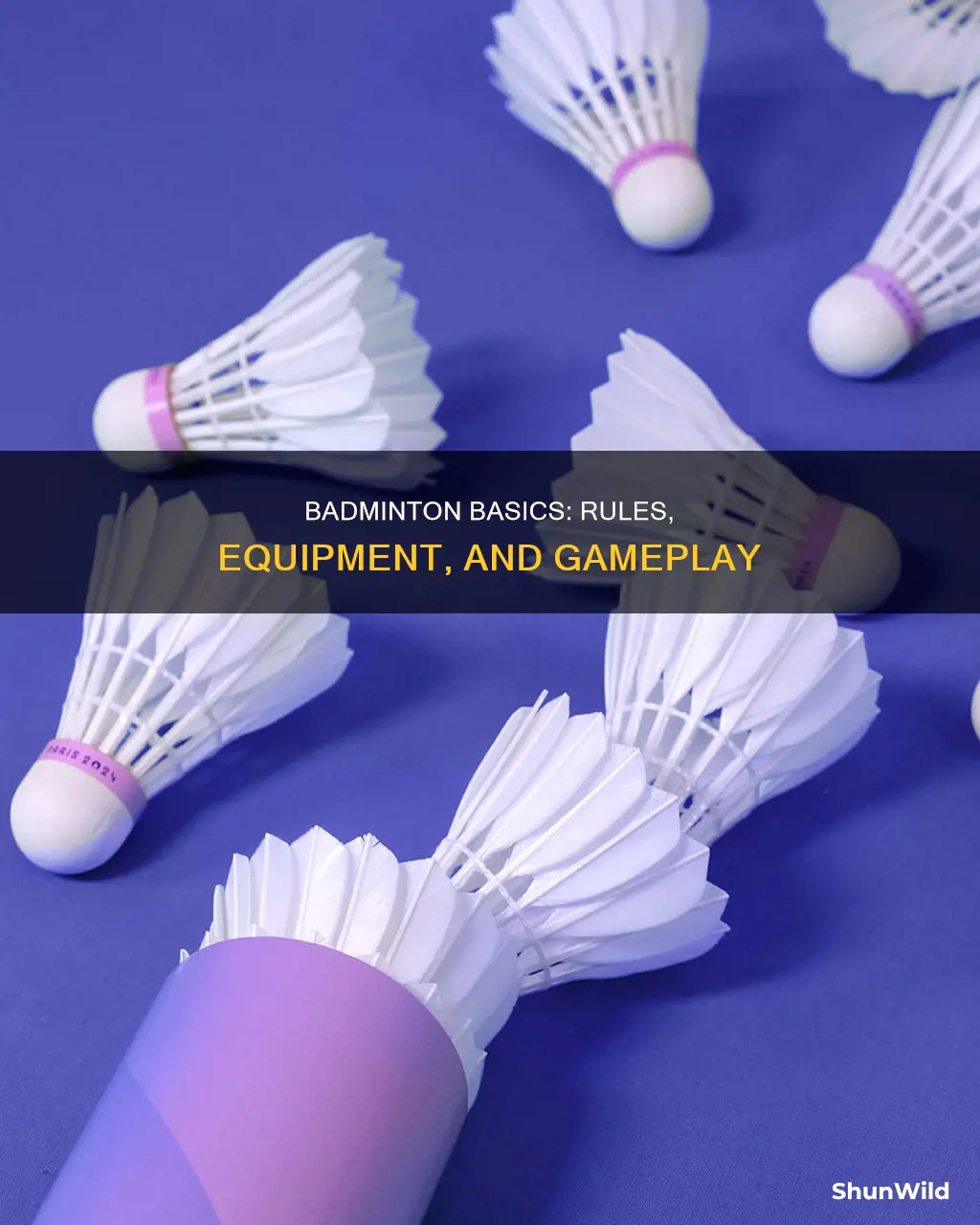 what do you mean by badminton