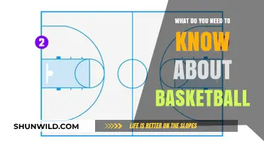 Basketball 101: Fundamentals to Master the Game